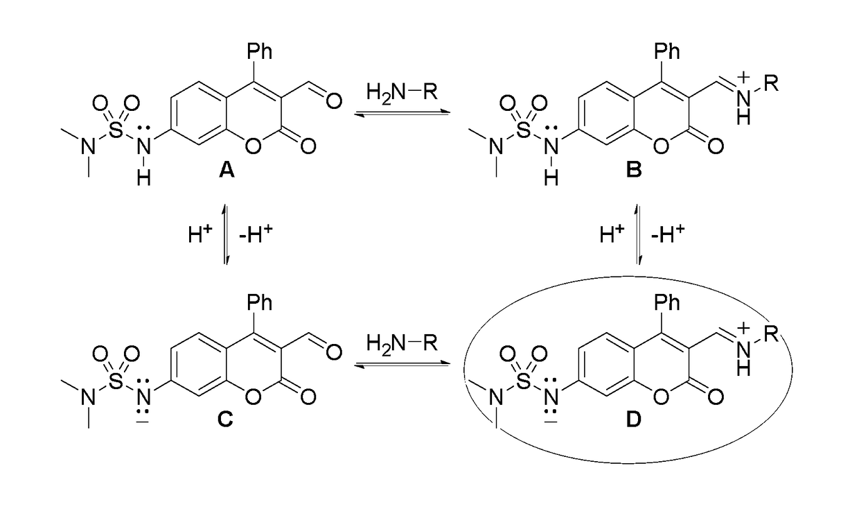 pH-sensitive fluorescent sensors for biological amines