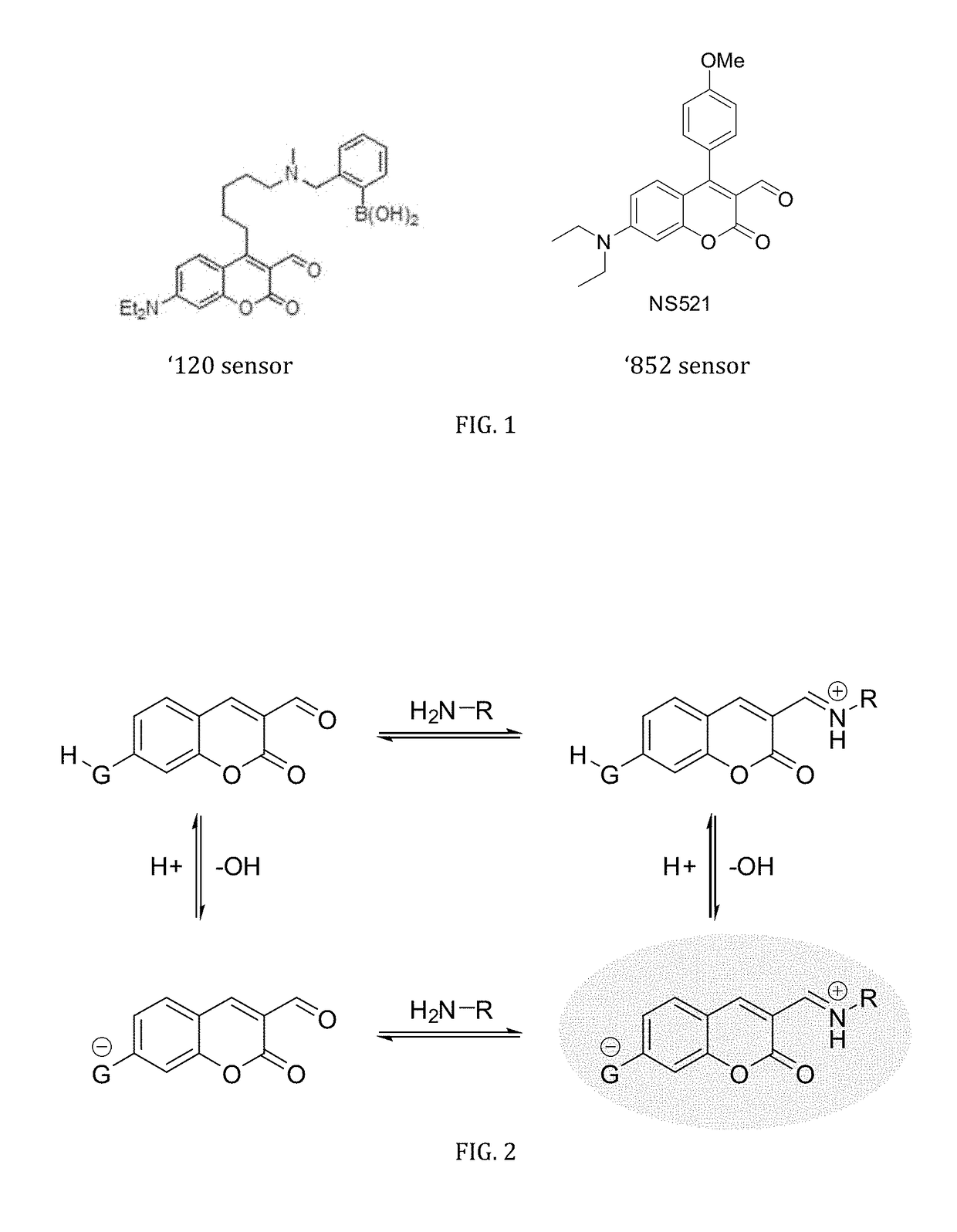 pH-sensitive fluorescent sensors for biological amines