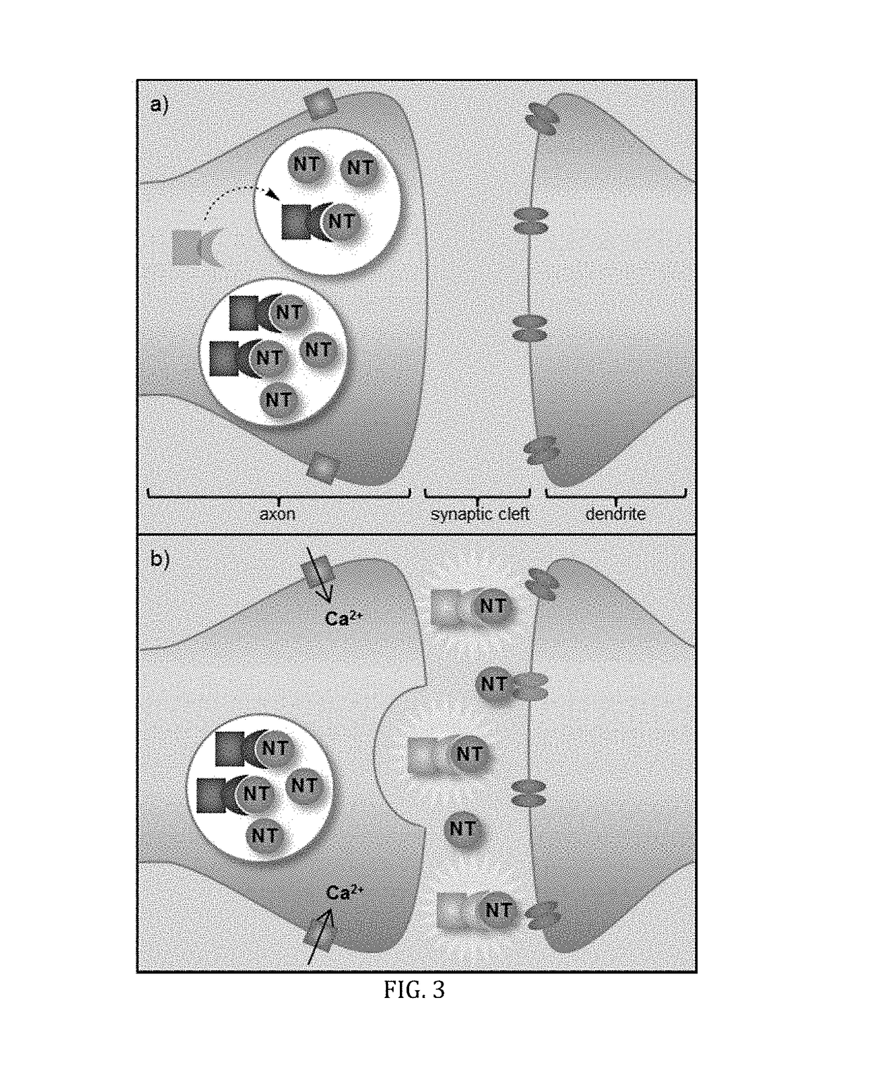 pH-sensitive fluorescent sensors for biological amines