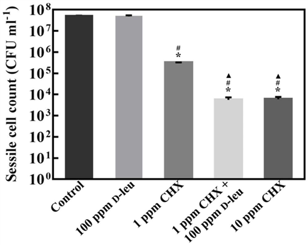 Application of d-leucine and chlorhexidine composition