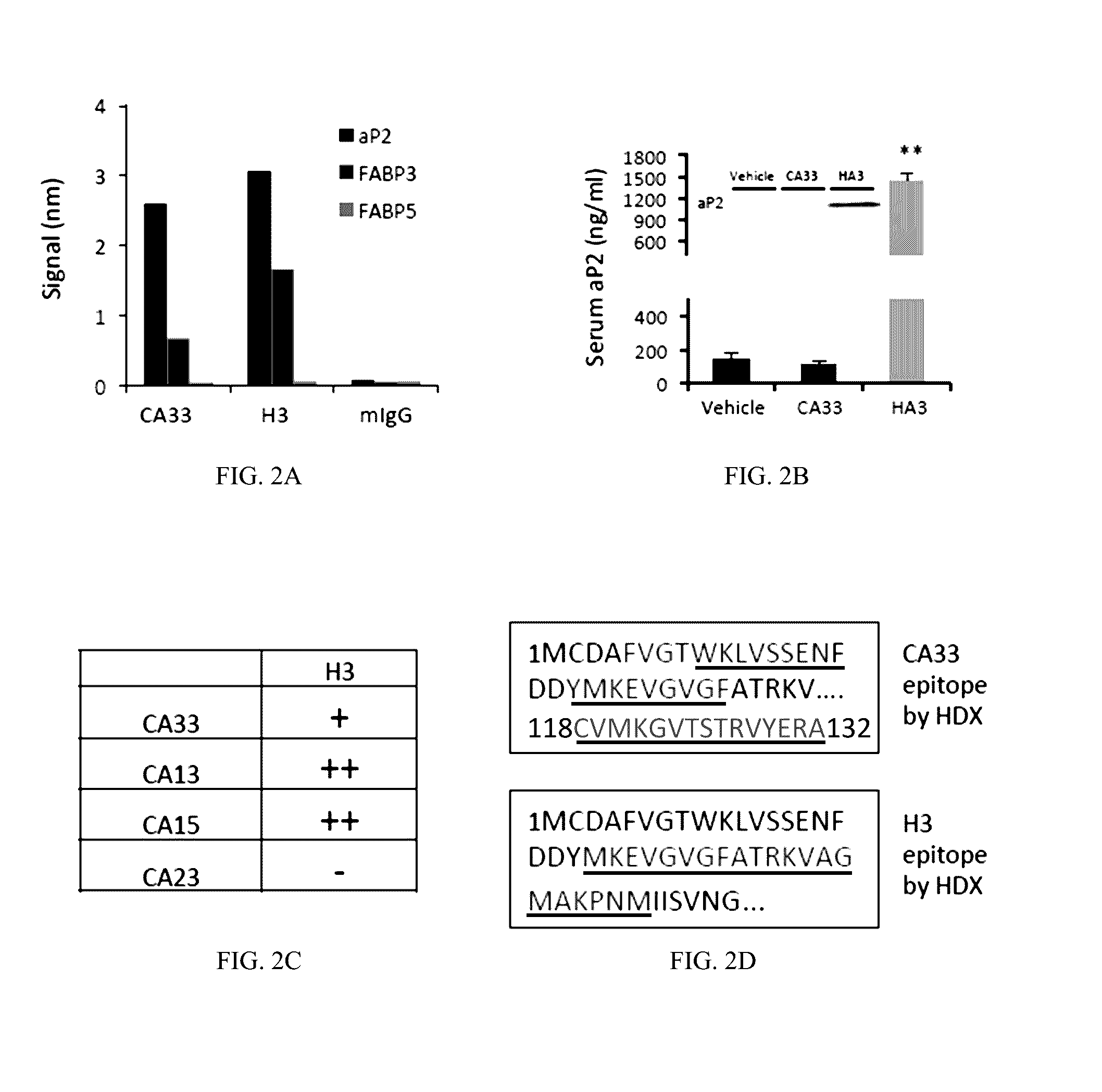 Anti-aP2 Antibodies and Antigen Binding Agents to Treat Metabolic Disorders