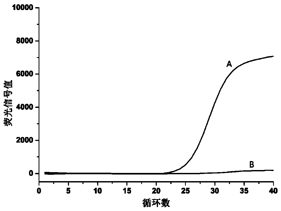 Tiger-derived pseudorabies virus detection kit and tiger-derived pseudorabies virus detection method