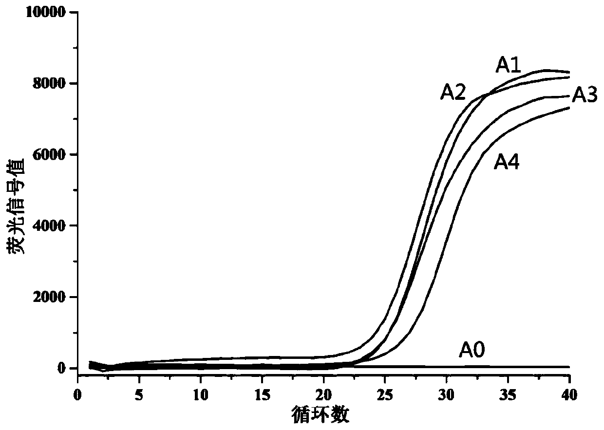 Tiger-derived pseudorabies virus detection kit and tiger-derived pseudorabies virus detection method