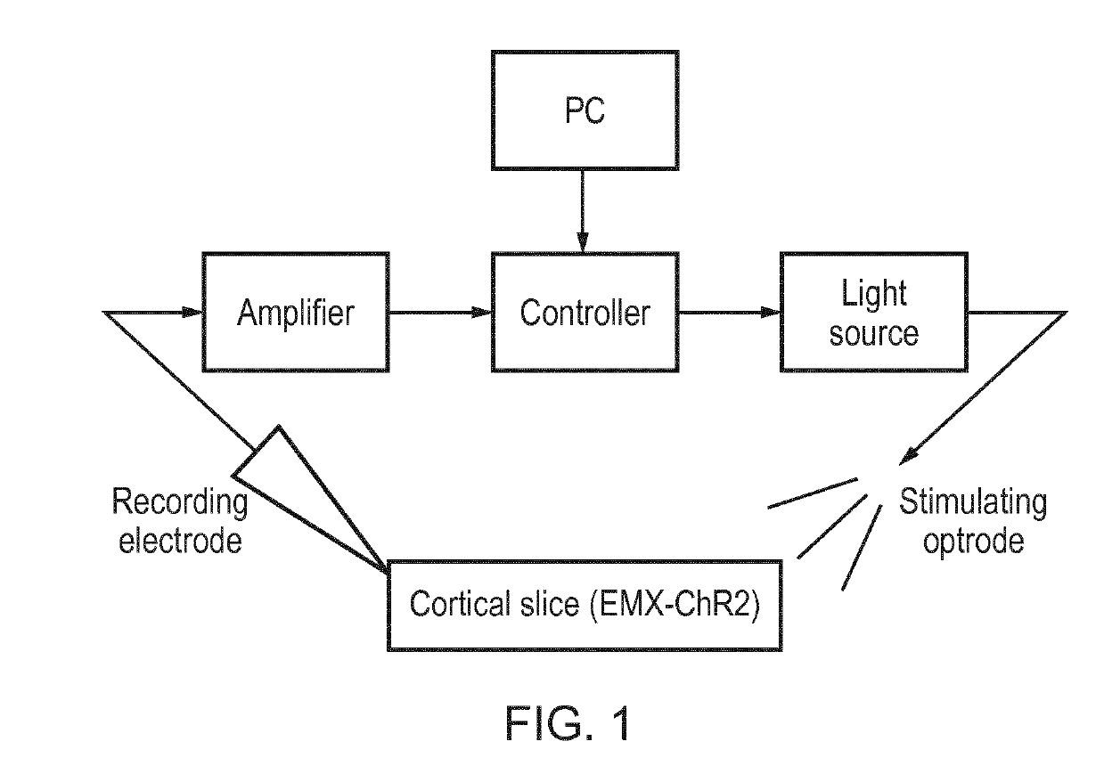 Optogenetic System and Method