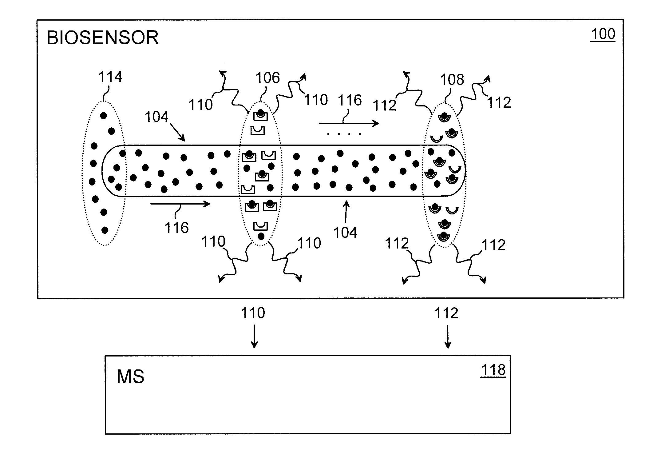 Biosensor