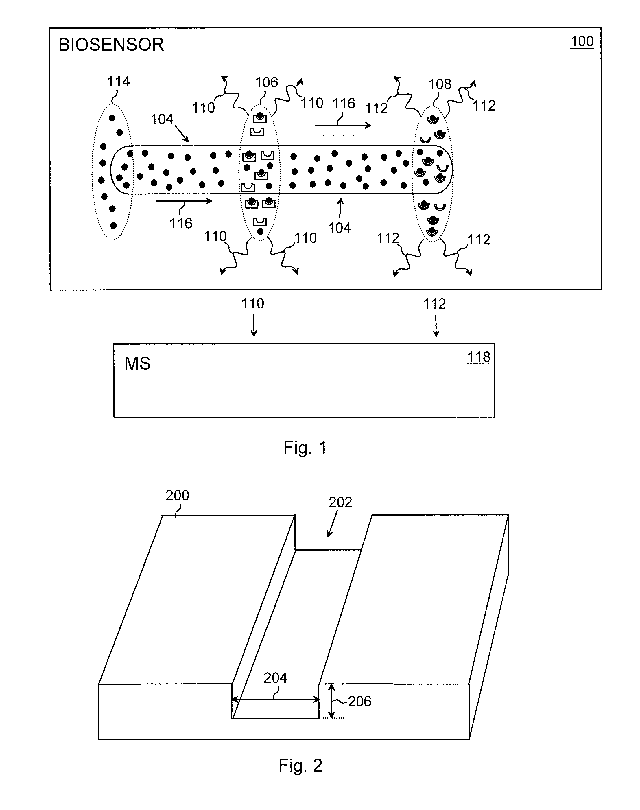 Biosensor