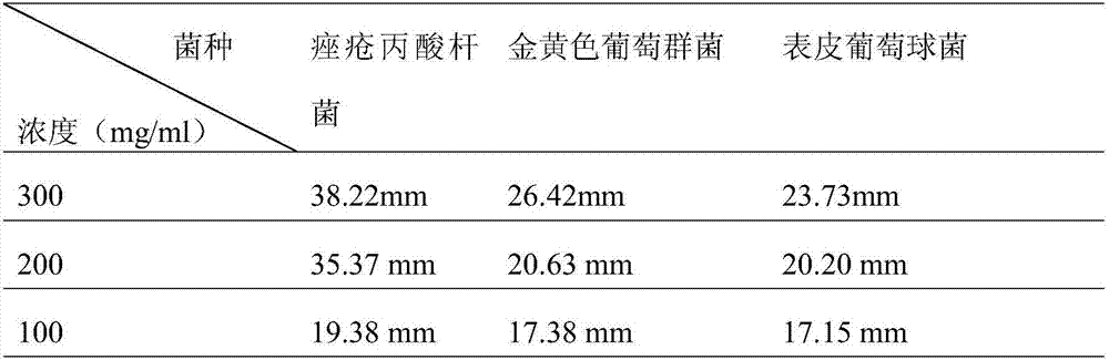 Traditional Chinese medicine composition for treating acnes and preparation method thereof