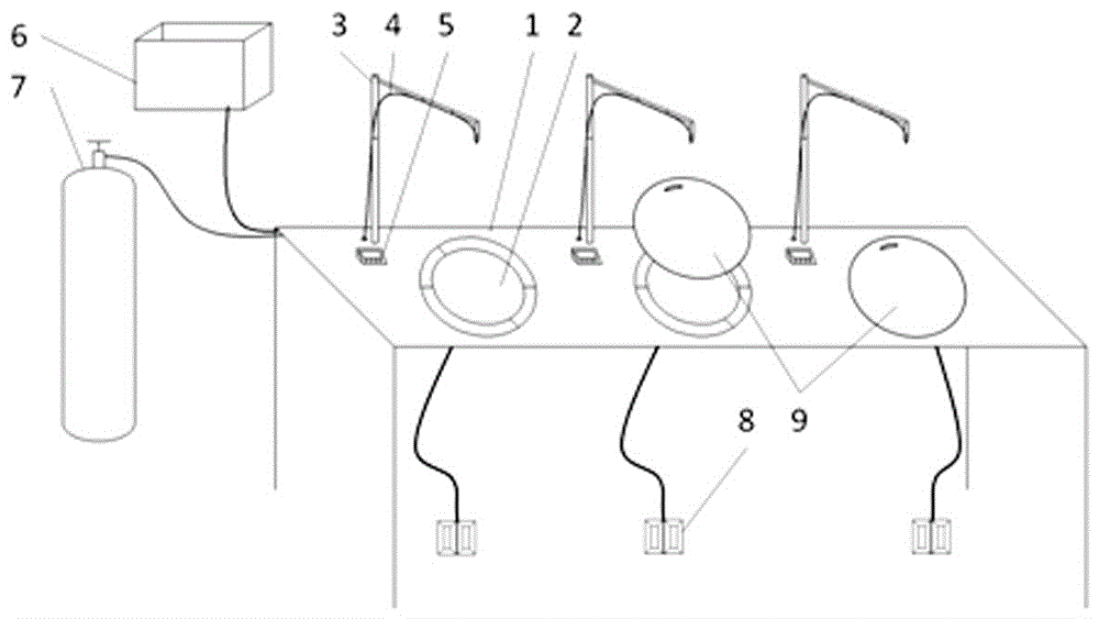 Aquatic product seedling watering, oxygenating and packaging work table