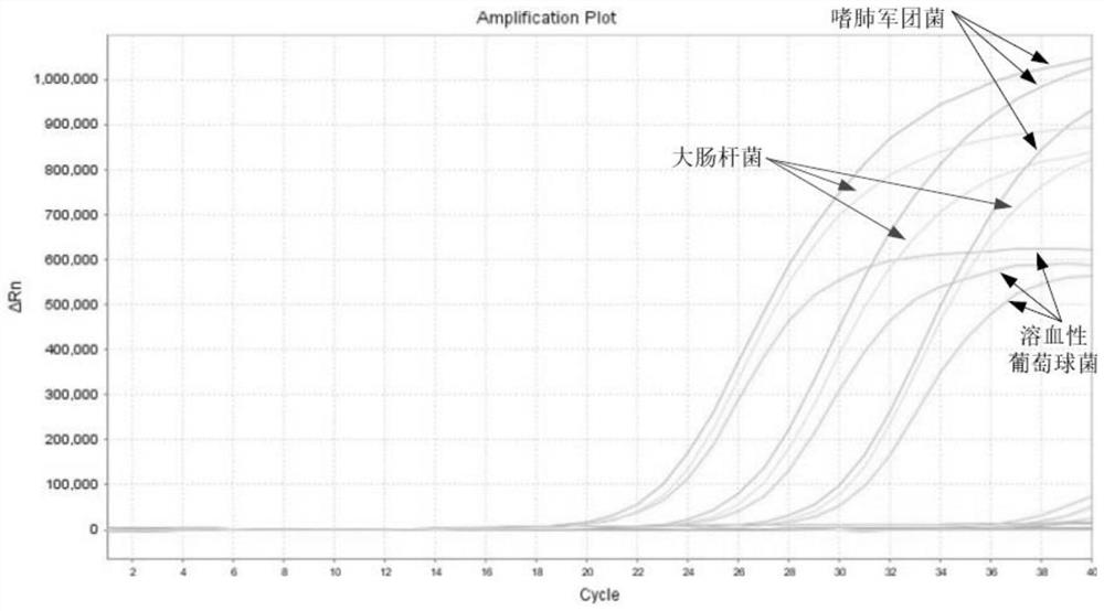 Real-time fluorescent quantitative PCR (polymerase chain reaction) detection method and kit for various respiratory tract pathogenic bacteria