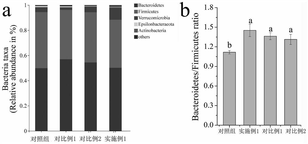 Preparation method of activity-enhanced edible fungus polysaccharide and application of activity-enhanced edible fungus polysaccharide in losing weight and increasing intestinal beneficial flora