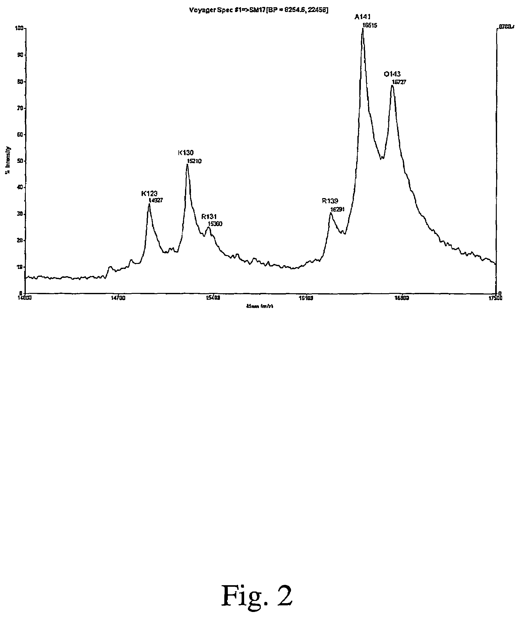 Full-length interferon gamma polypeptide variants