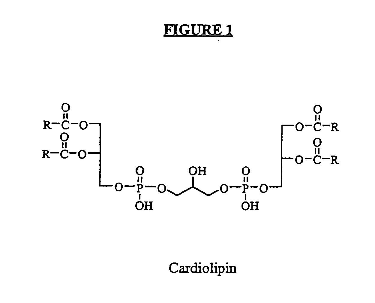 Cardiolipin compositions their methods of preparation and use