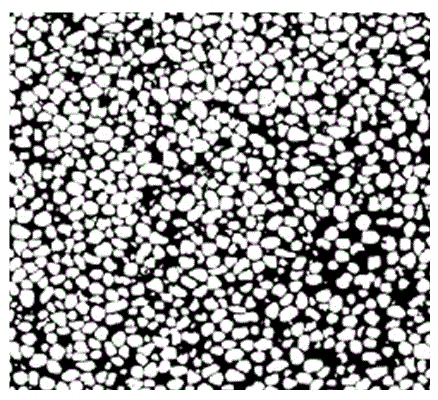 Dike dam riprap density measuring method based on image analysis