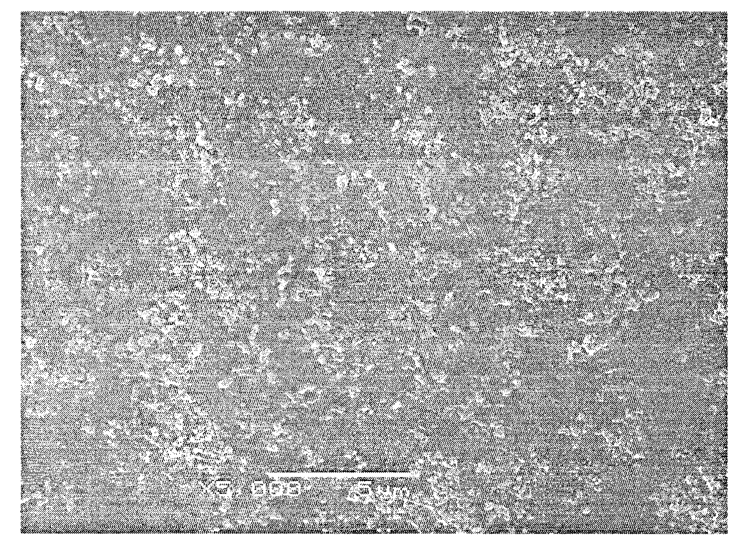 Method for preparing lithium iron phosphate by sintering lithium iron phosphate precursor and microwave sintering equipment