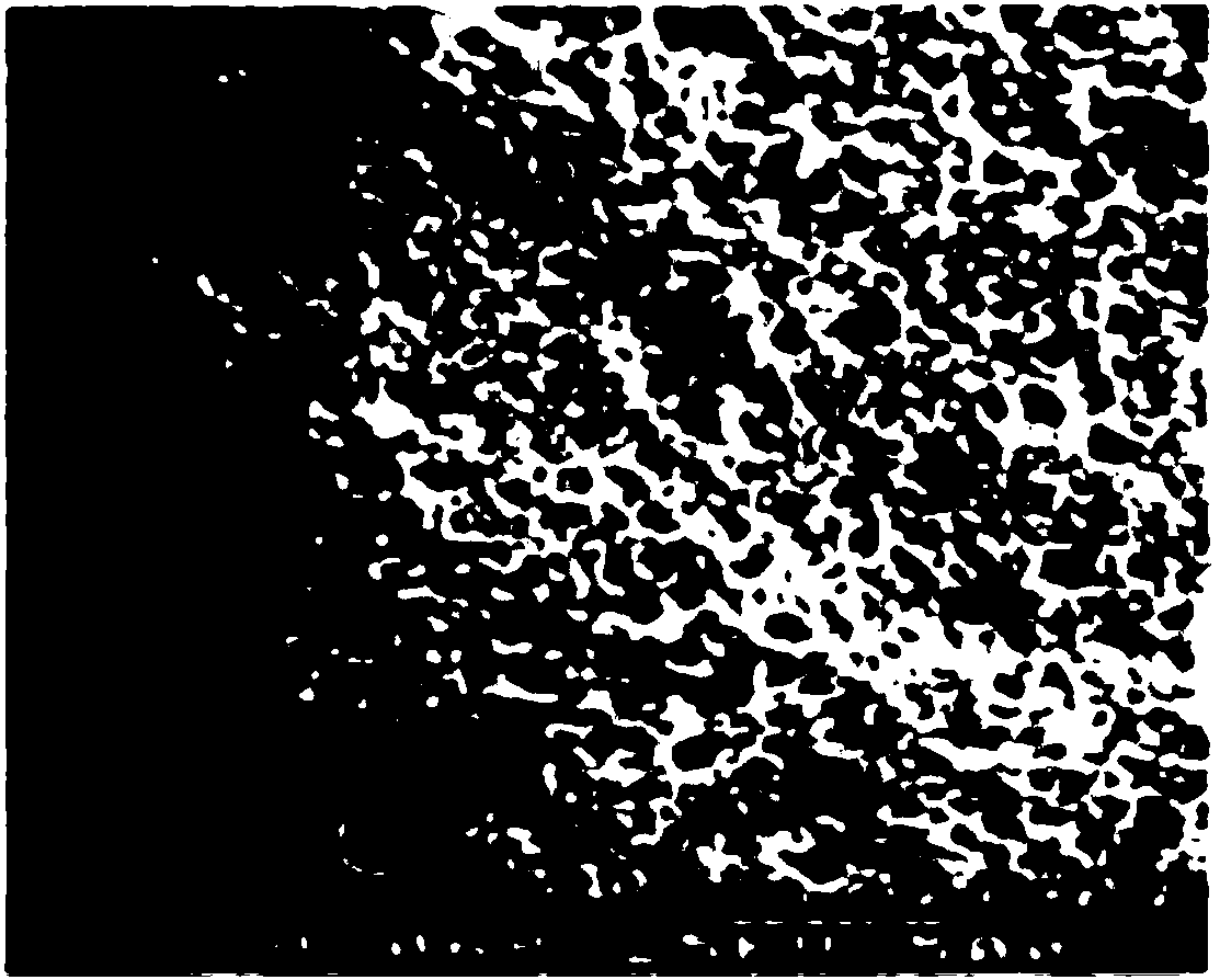 Liquid band-aid and preparation method thereof