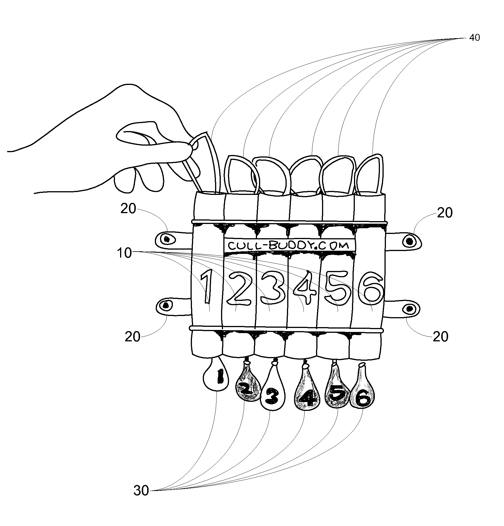 Buoy holder for fish culling