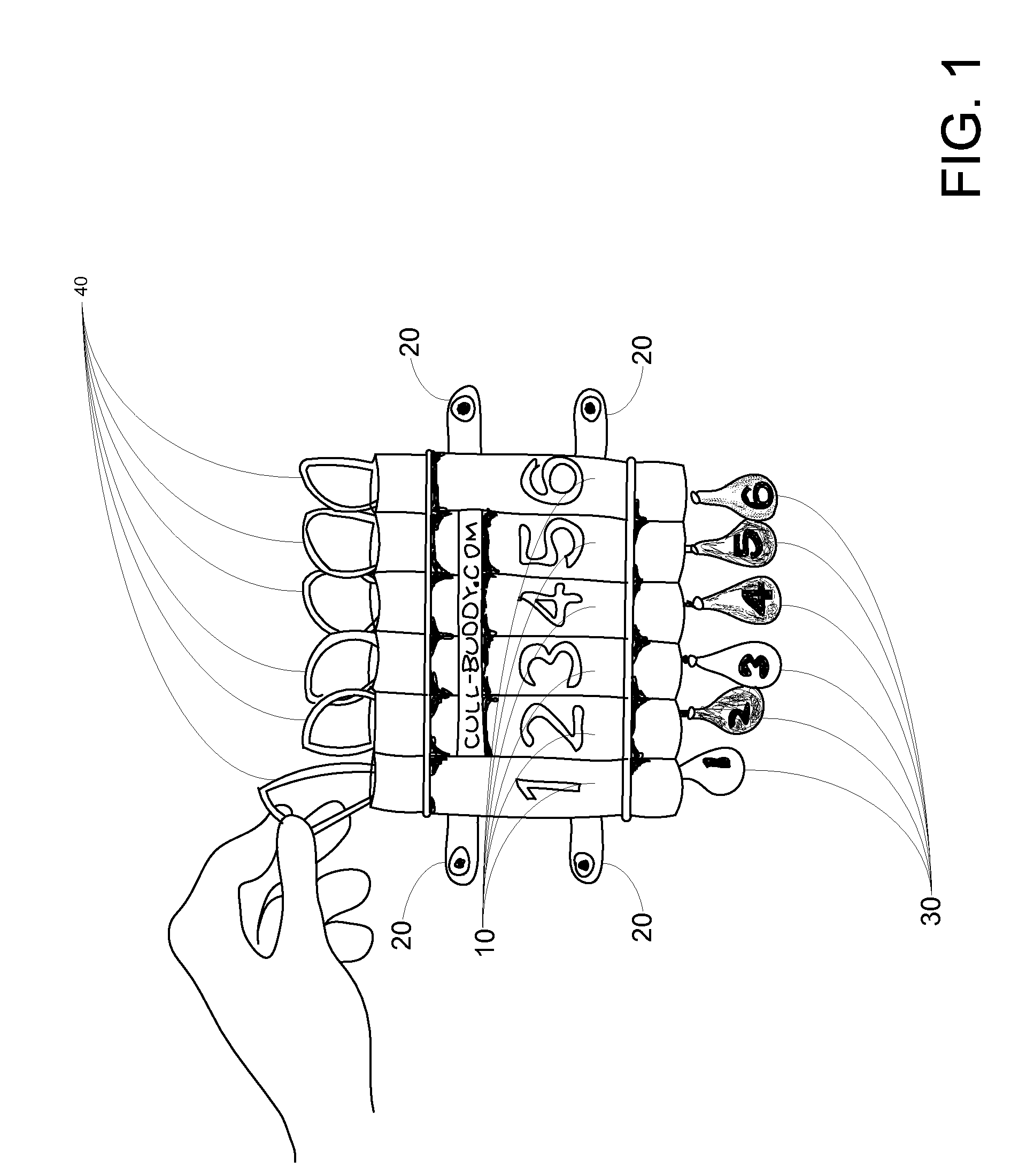 Buoy holder for fish culling