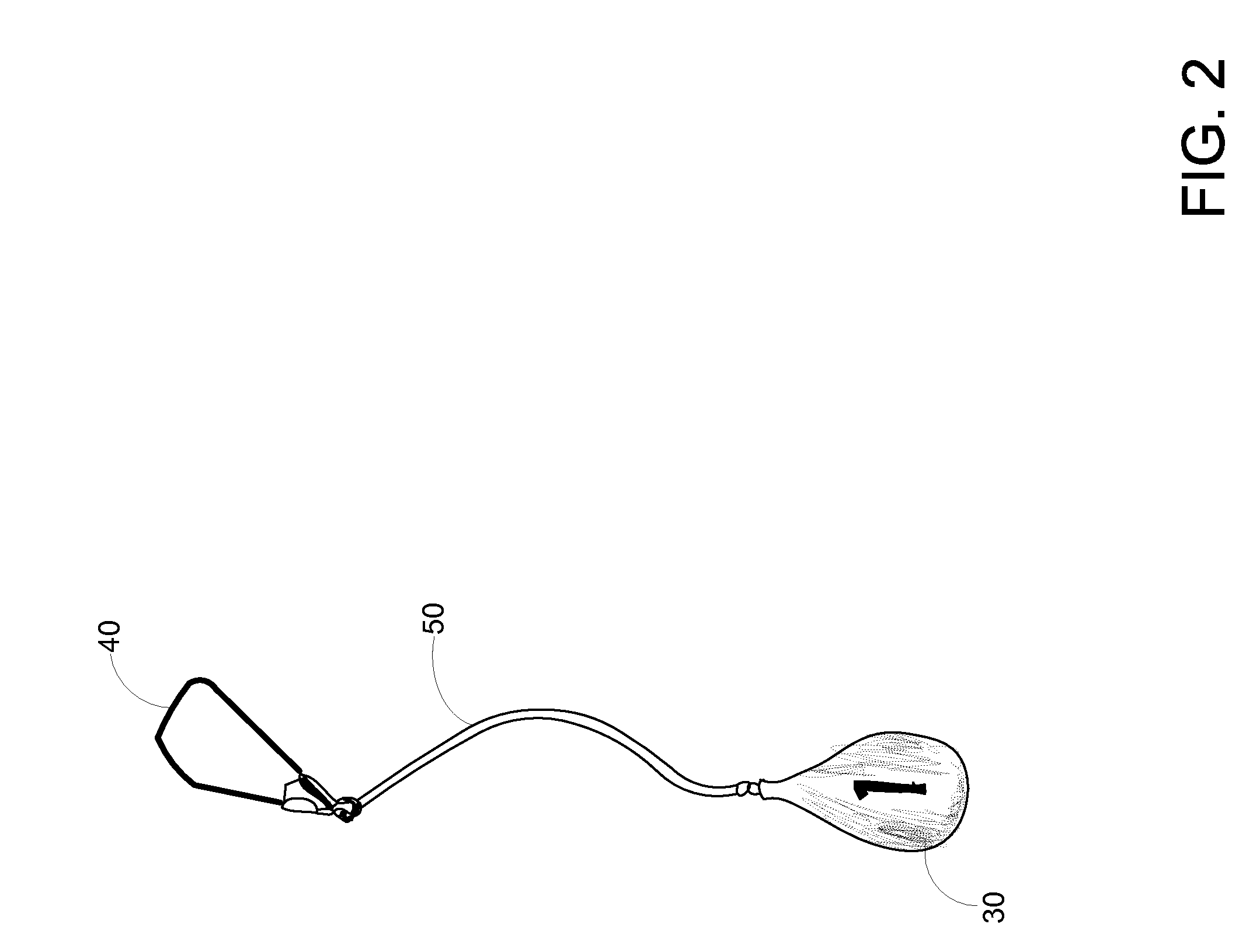 Buoy holder for fish culling