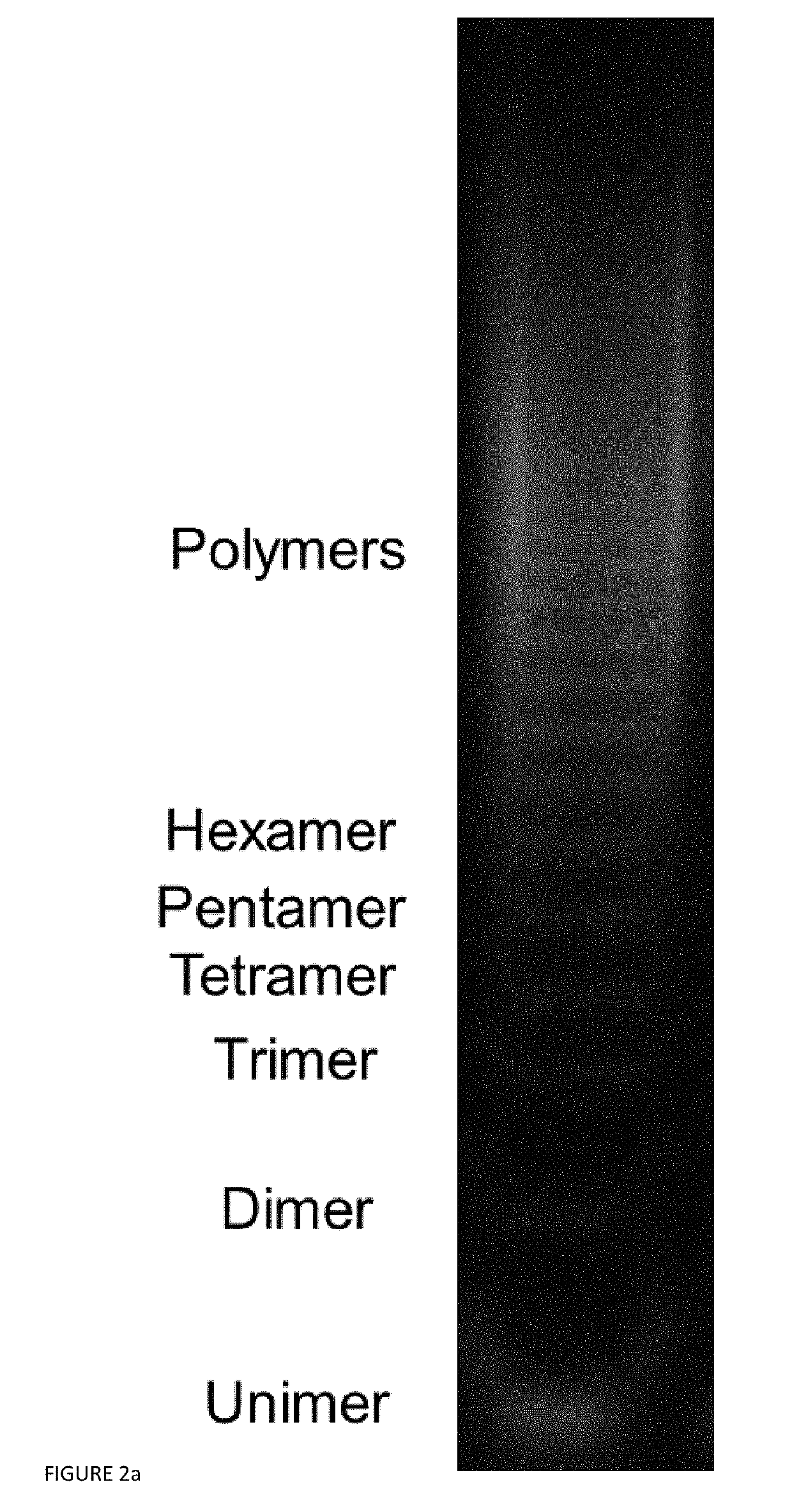 Synthesis of high density molecular DNA brushes via organic-phase ring-opening metathesis (CO)polymerization