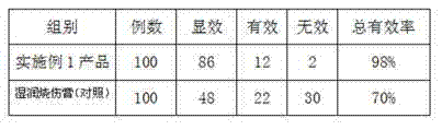 Chinese medicinal composition for treating burns and scalds and preparation method thereof