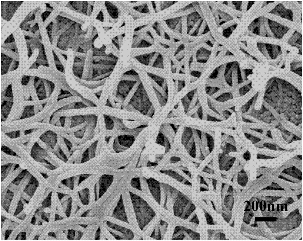 Preparation method for precious metal and transition metal nanowires and nano reticular material