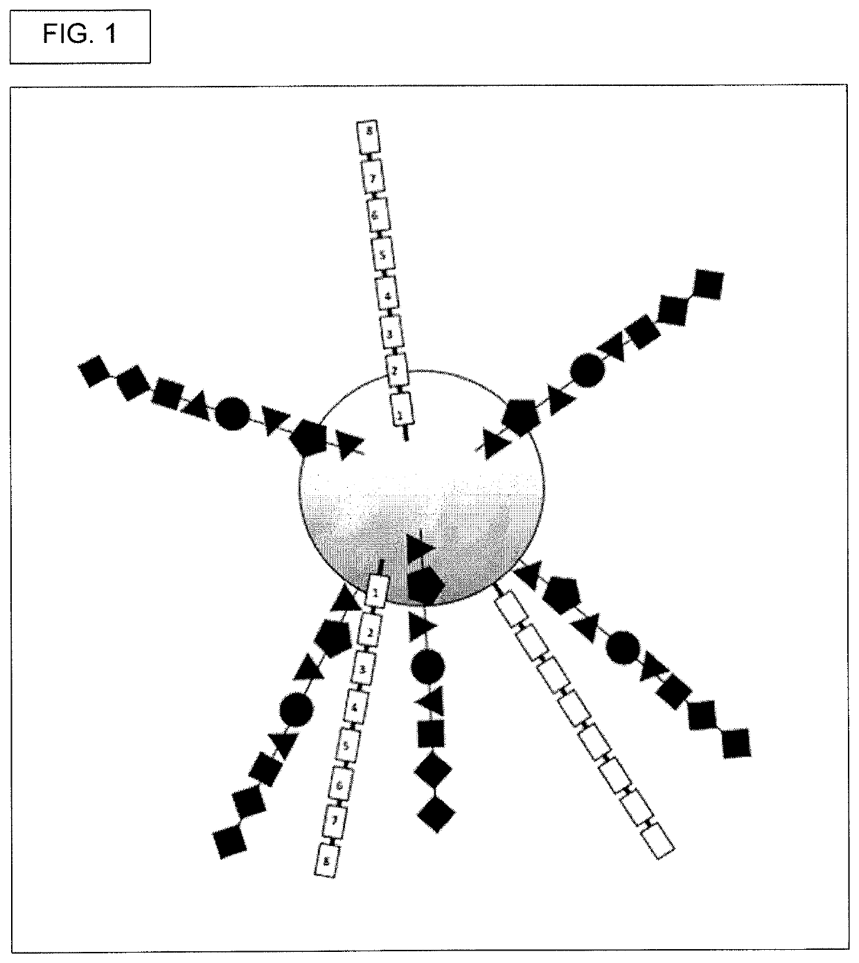 Oligonucleotide encoded chemical libraries