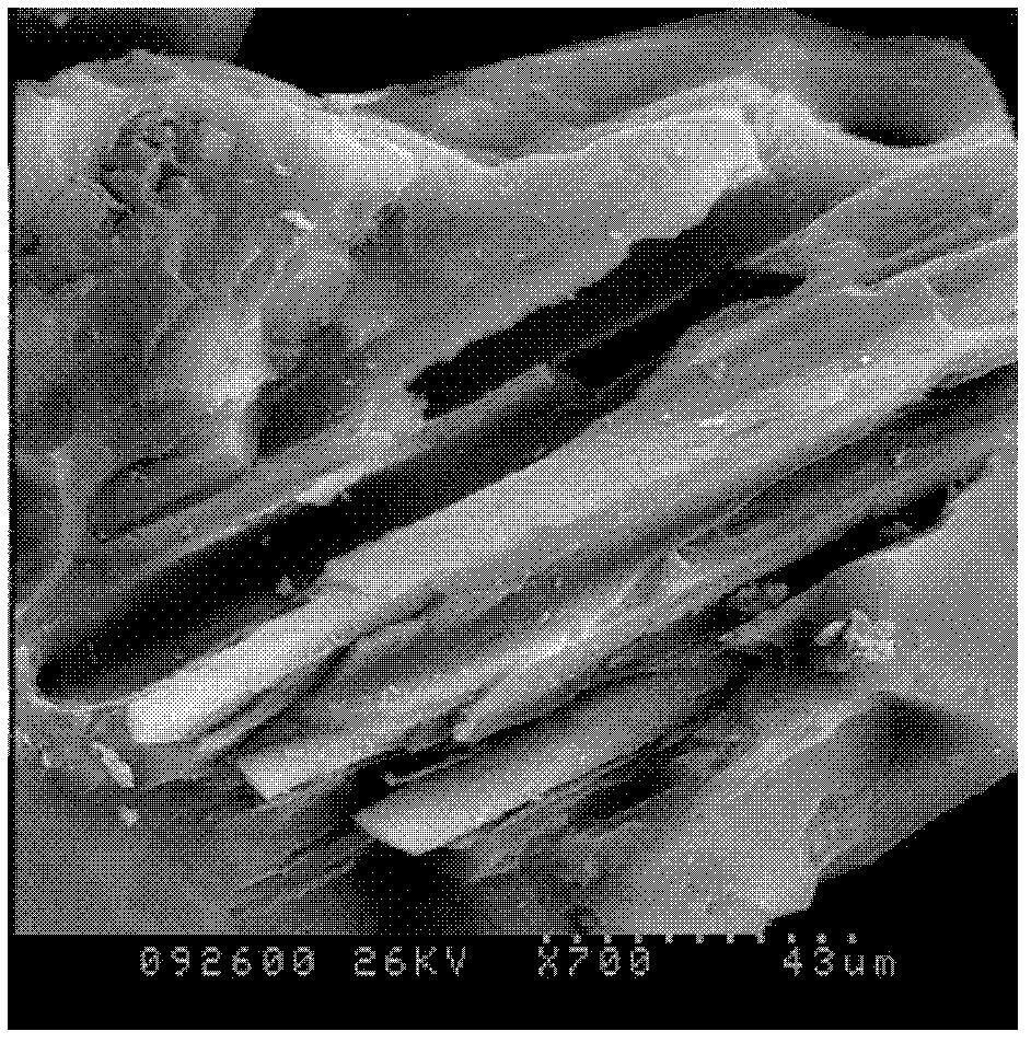 Preparation method of mesoporous tomato stem active carbon