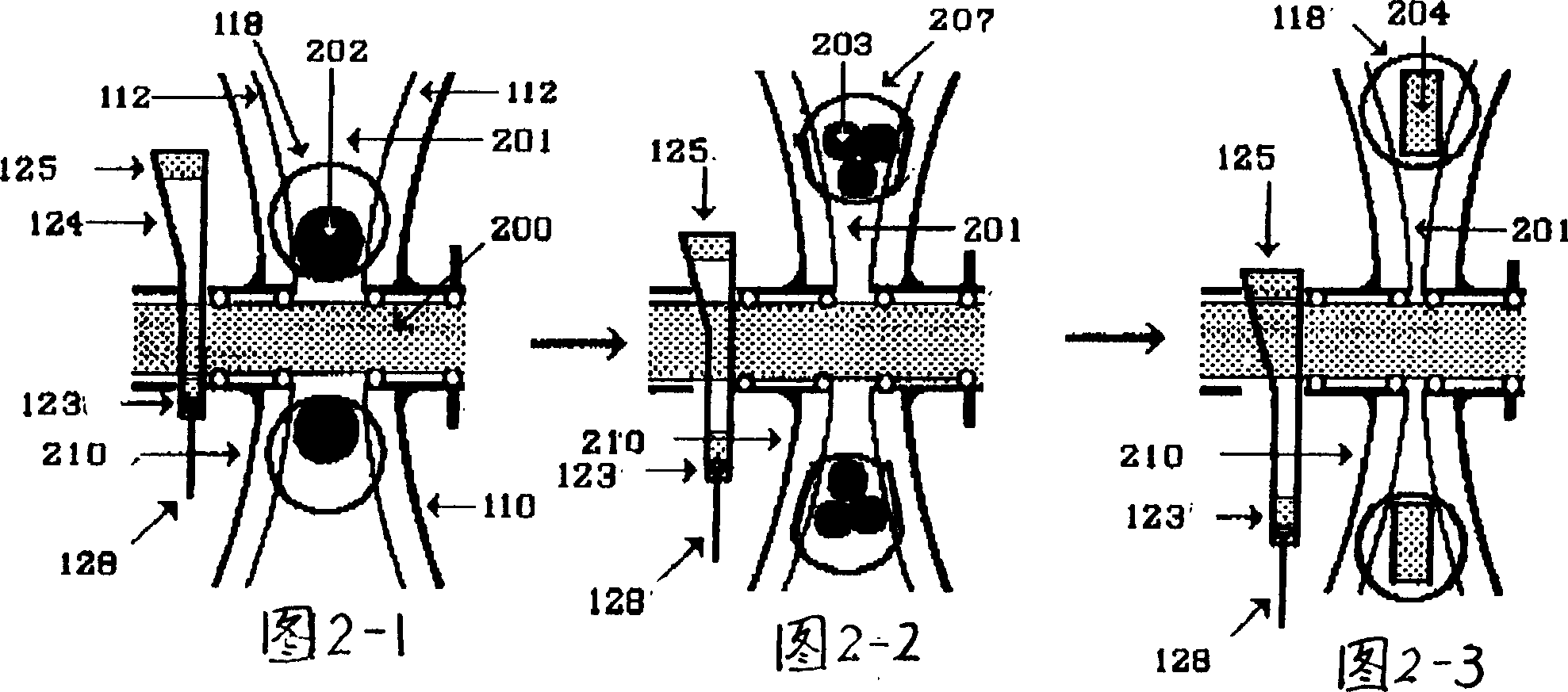 Gearing chain ring and its application in speed variator