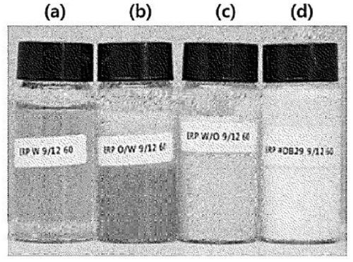 Chemically anisotropic powder and cosmetic composition containing same and having stable effect raw materials