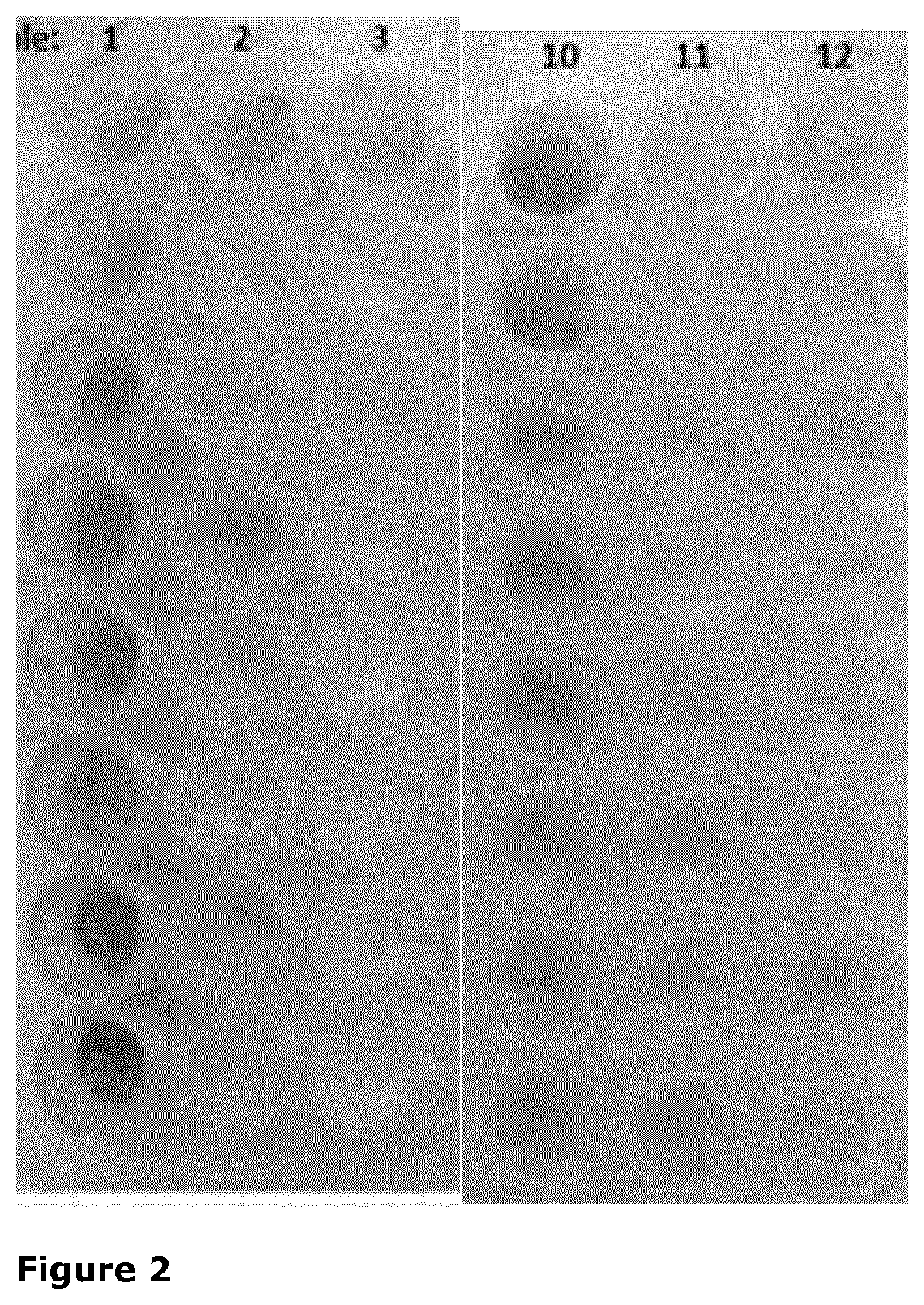 Use  of hexose oxidase and/or cellobiose oxidase for reduction of maillard reaction