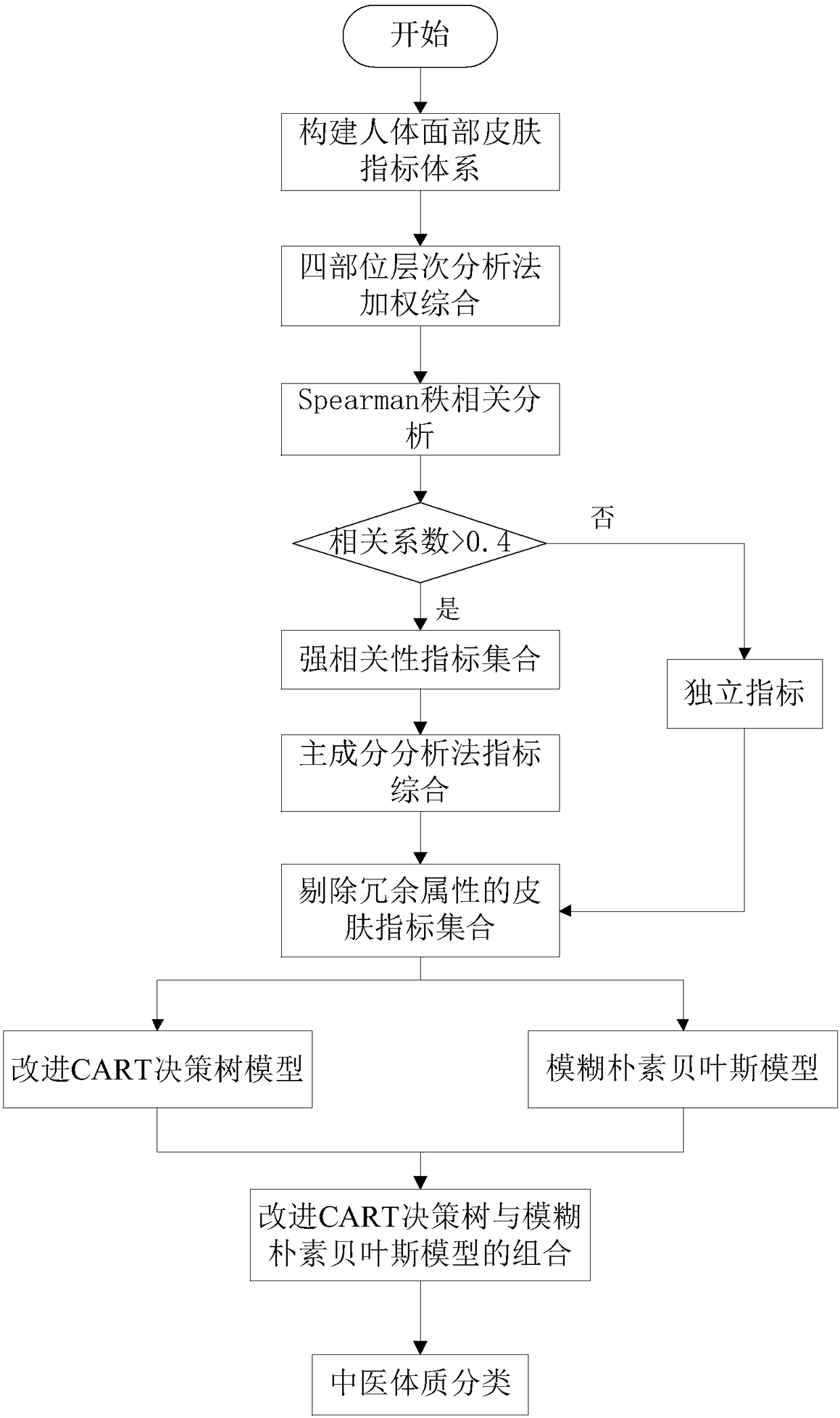 A TCM constitution optimization classification method