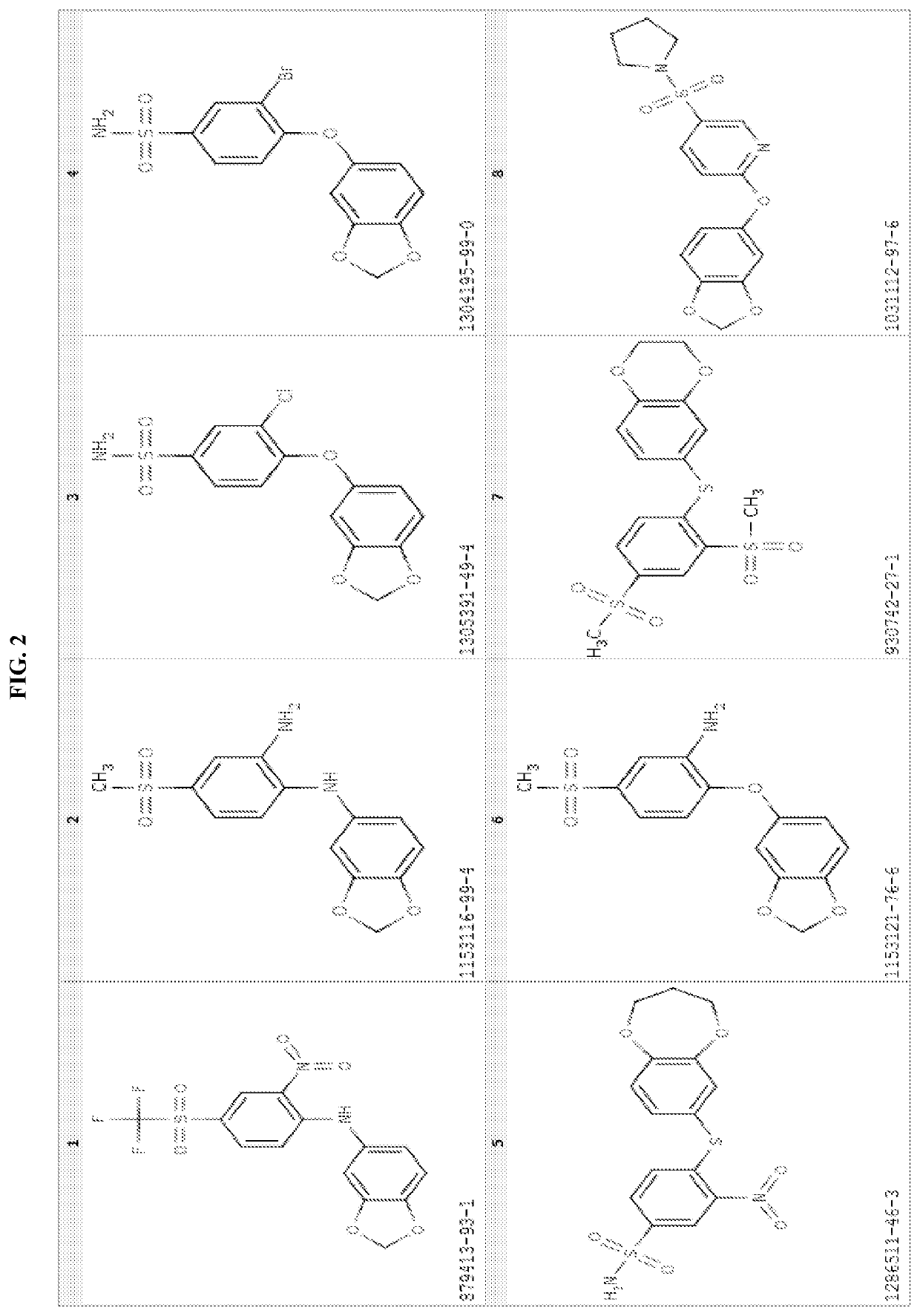 Human GLUT5 specific inhibitors and methods of treatment