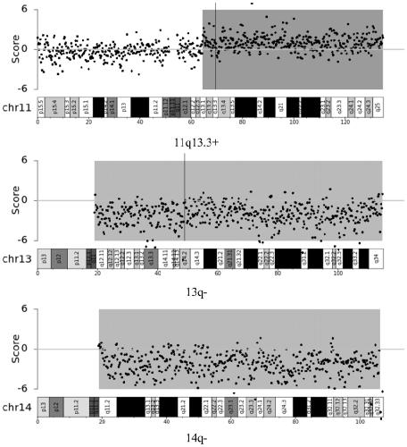 Application of chromosome instable mutation to preparing agent or kit for diagnosis, evaluation and prognosis of multiple myeloma