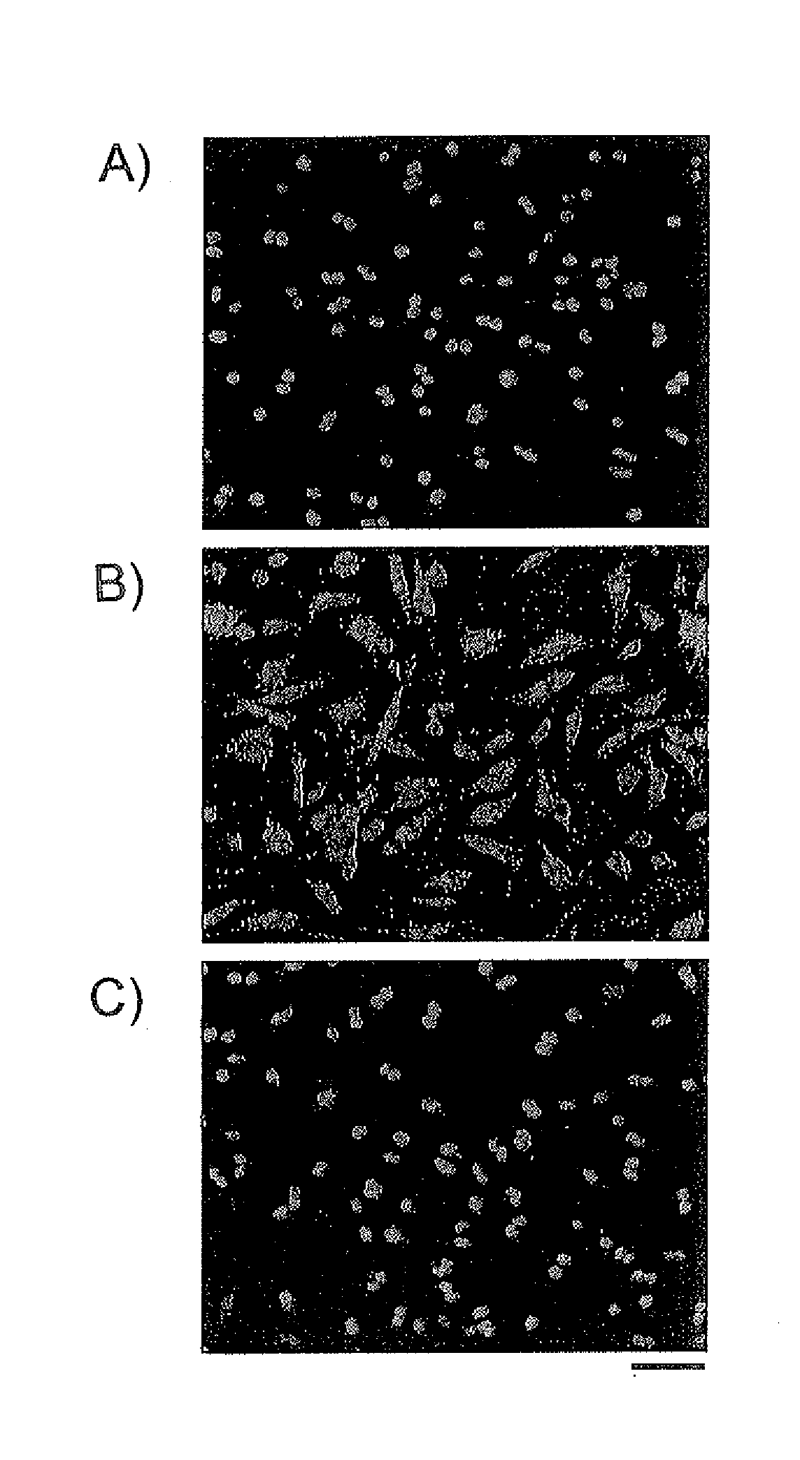 Sustained-release nanoparticle containing low-molecular-weight drug with negatively charged group