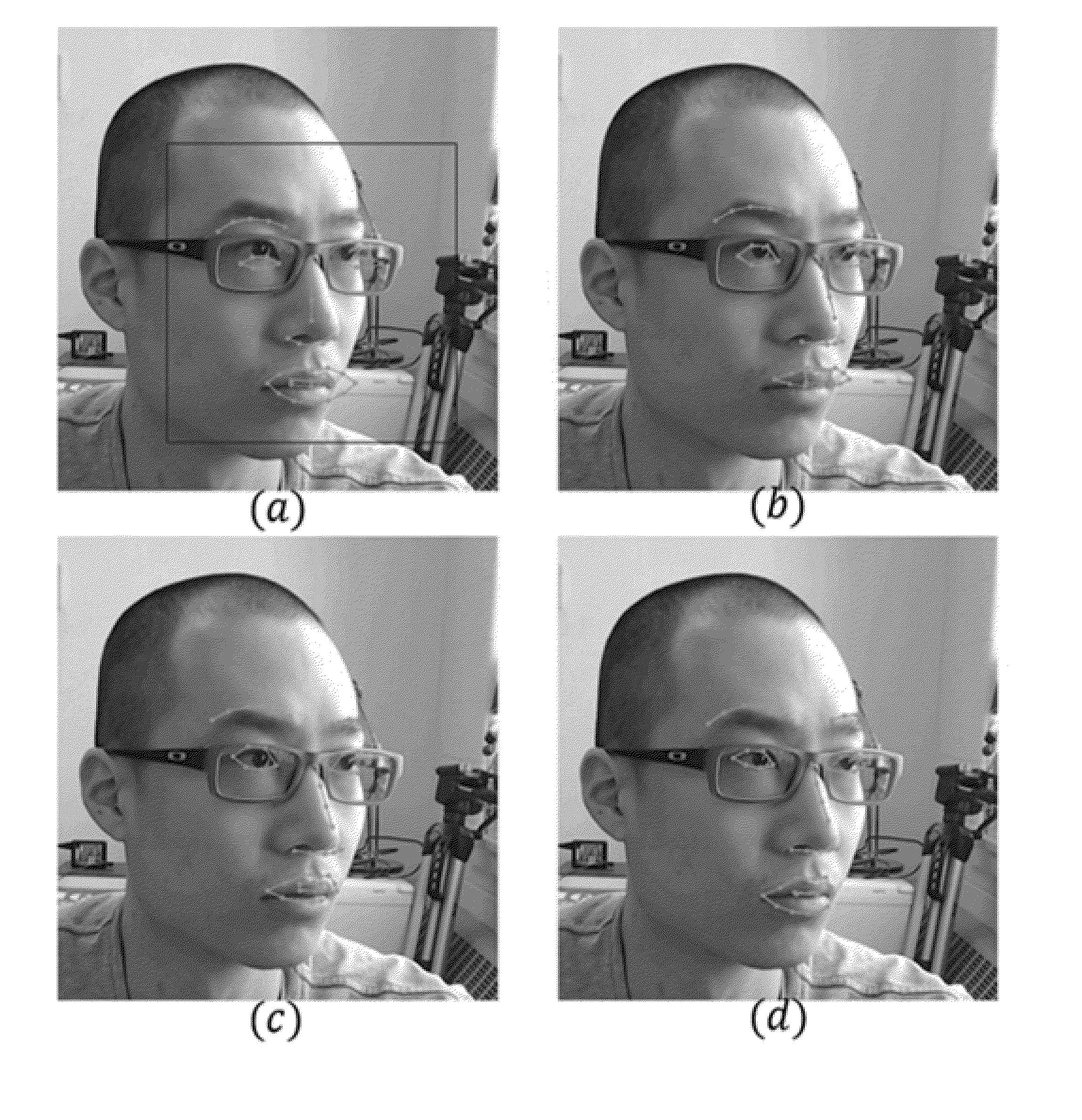 System and Method for Detecting and Tracking Facial Features In Images