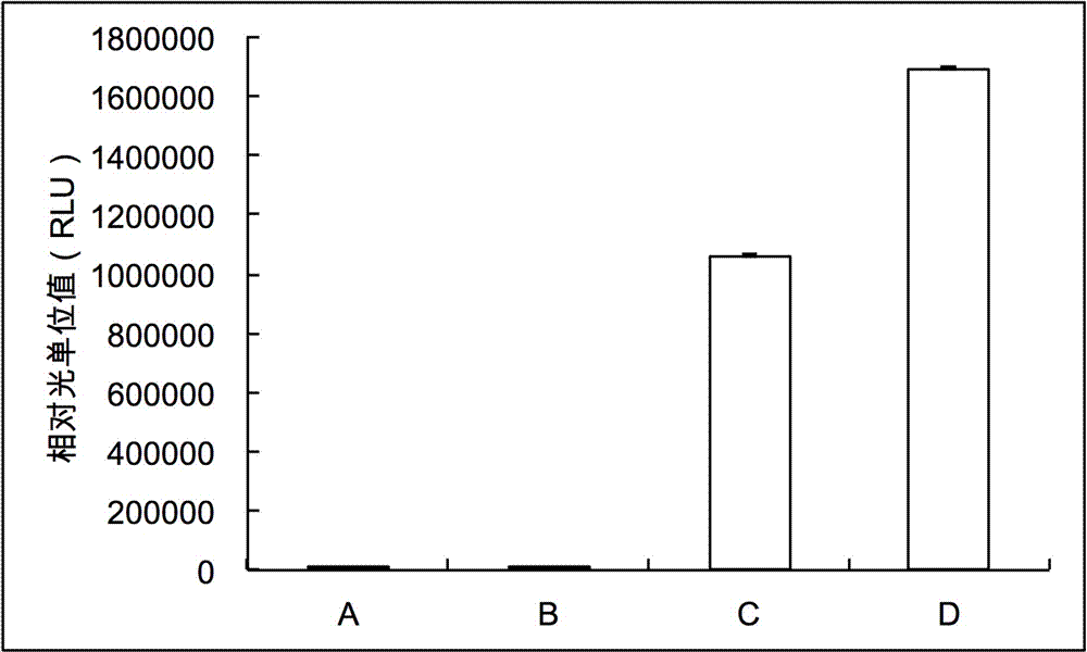 Kit for in vitro synthesis of protein and preparation method