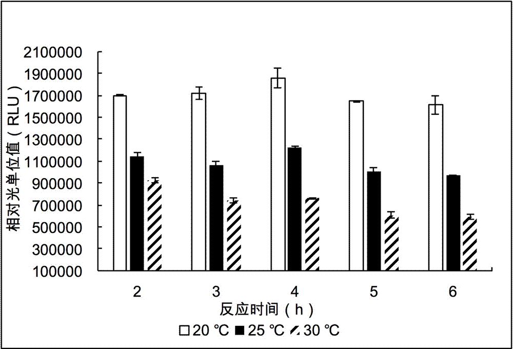 Kit for in vitro synthesis of protein and preparation method