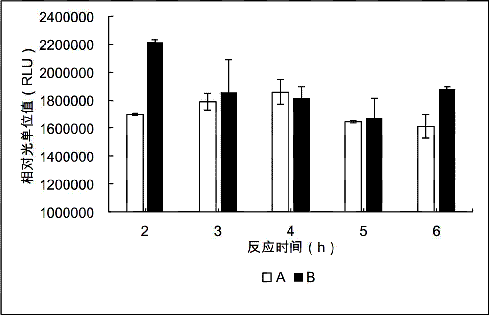 Kit for in vitro synthesis of protein and preparation method