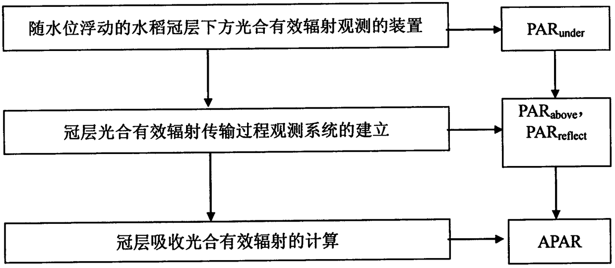 Rice canopy absorbed photosynthetic effective radiation continuous observation method