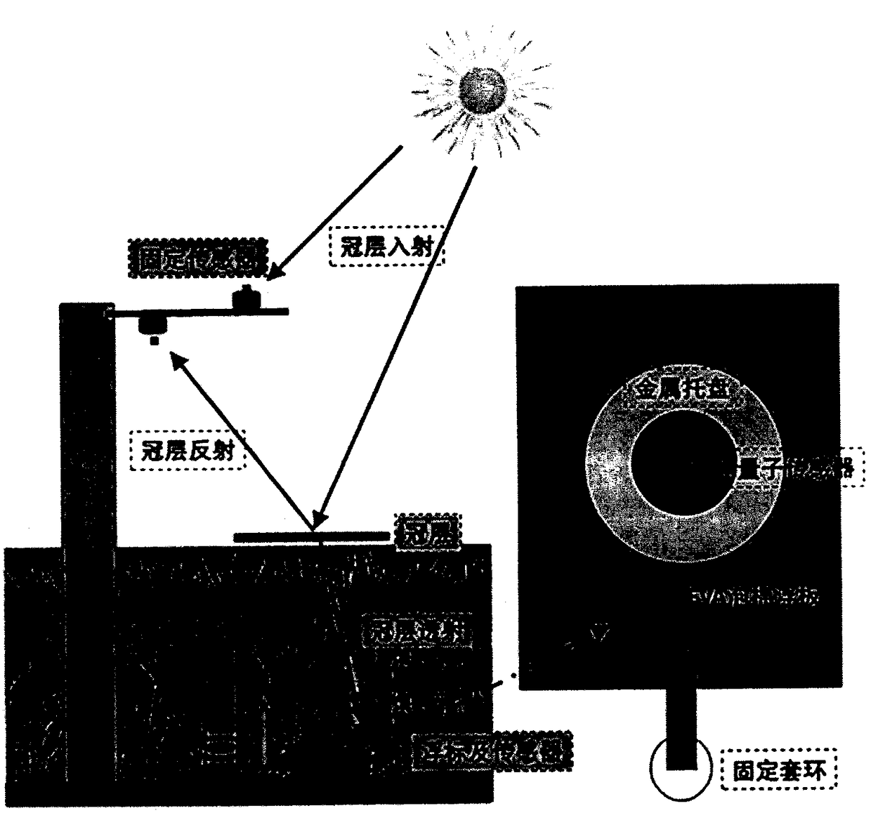 Rice canopy absorbed photosynthetic effective radiation continuous observation method