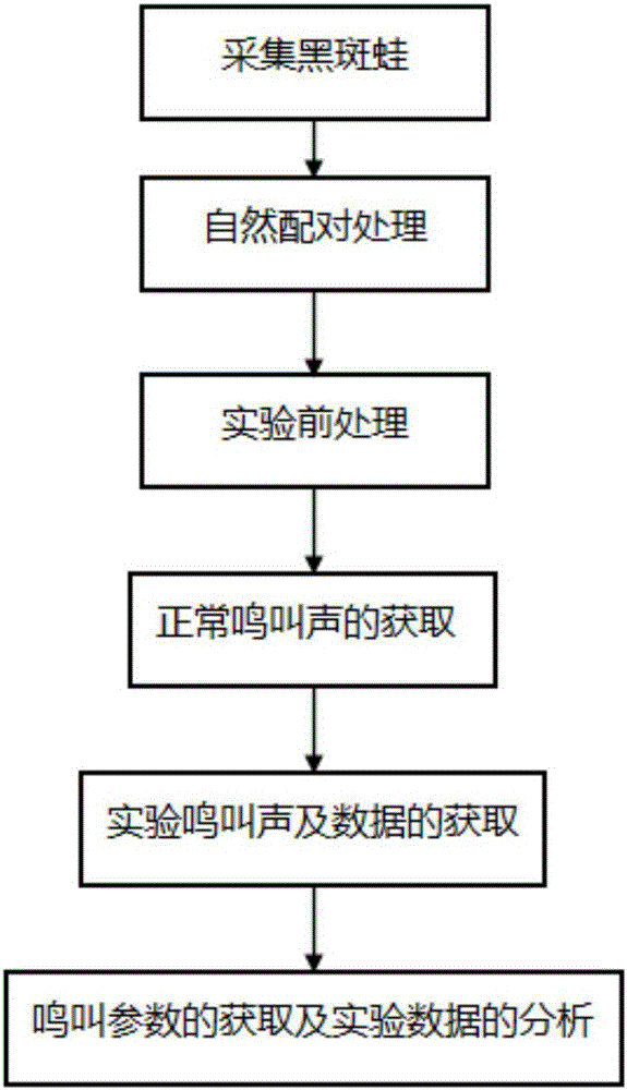 Method for testing acoustical communication capability of rana nigromaculata