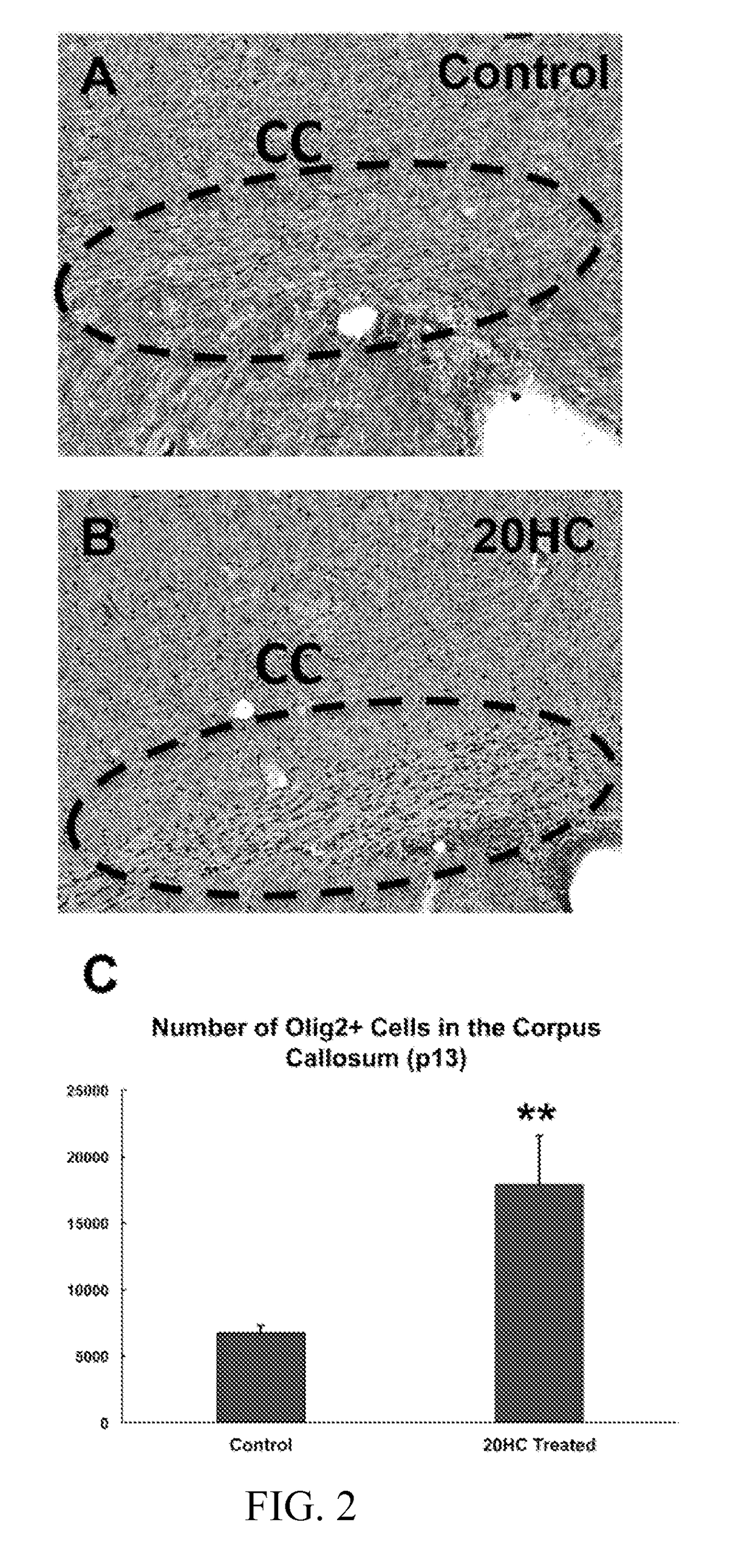 Compositions and methods for the repair of myelin