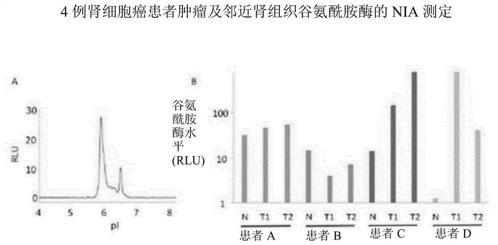 Analysis of response to therapeutics in cancer