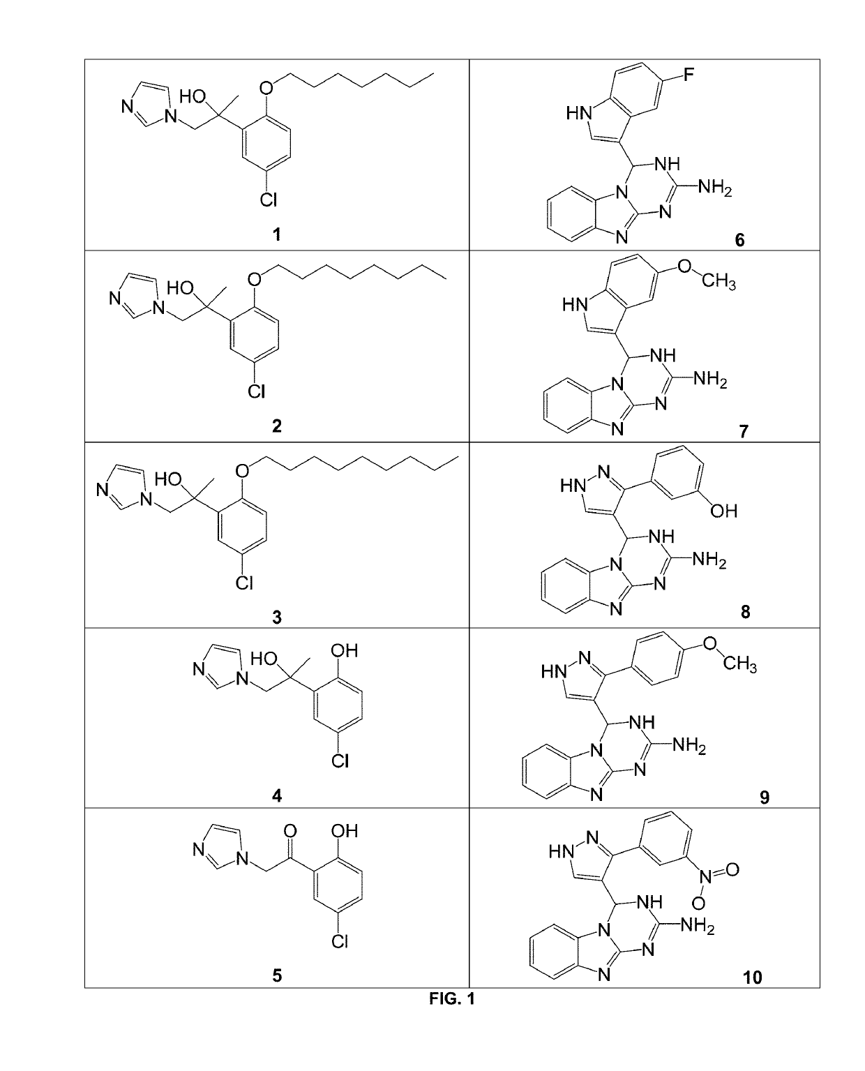 Small molecules that mimic or antagonize actions of granulocyte colony-stimulating-factor (G-CSF)