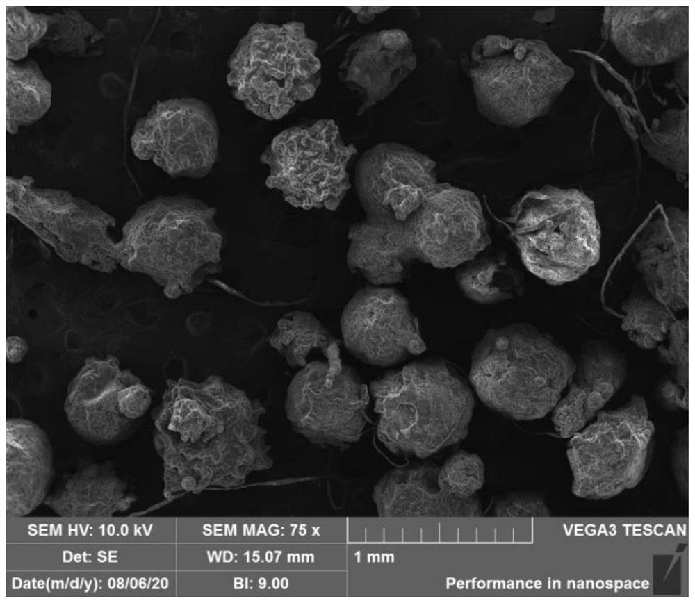 Graphene oxide modified cellulose-based phase change microcapsule and preparation method thereof