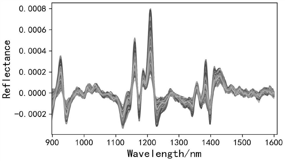 Method for quickly identifying authenticity and quality of semen armeniacae amarae based on hyperspectral imaging technology