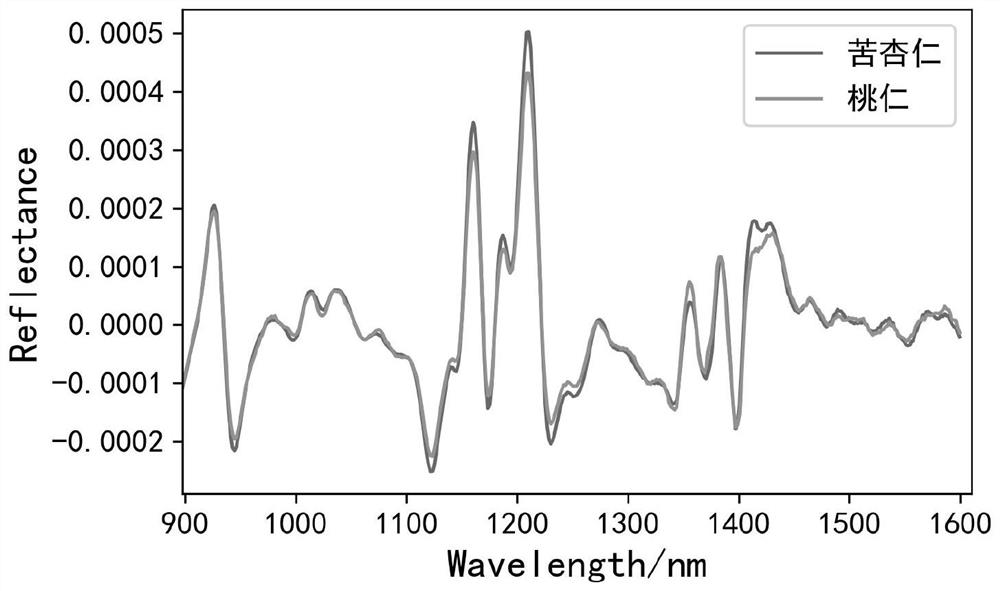 Method for quickly identifying authenticity and quality of semen armeniacae amarae based on hyperspectral imaging technology