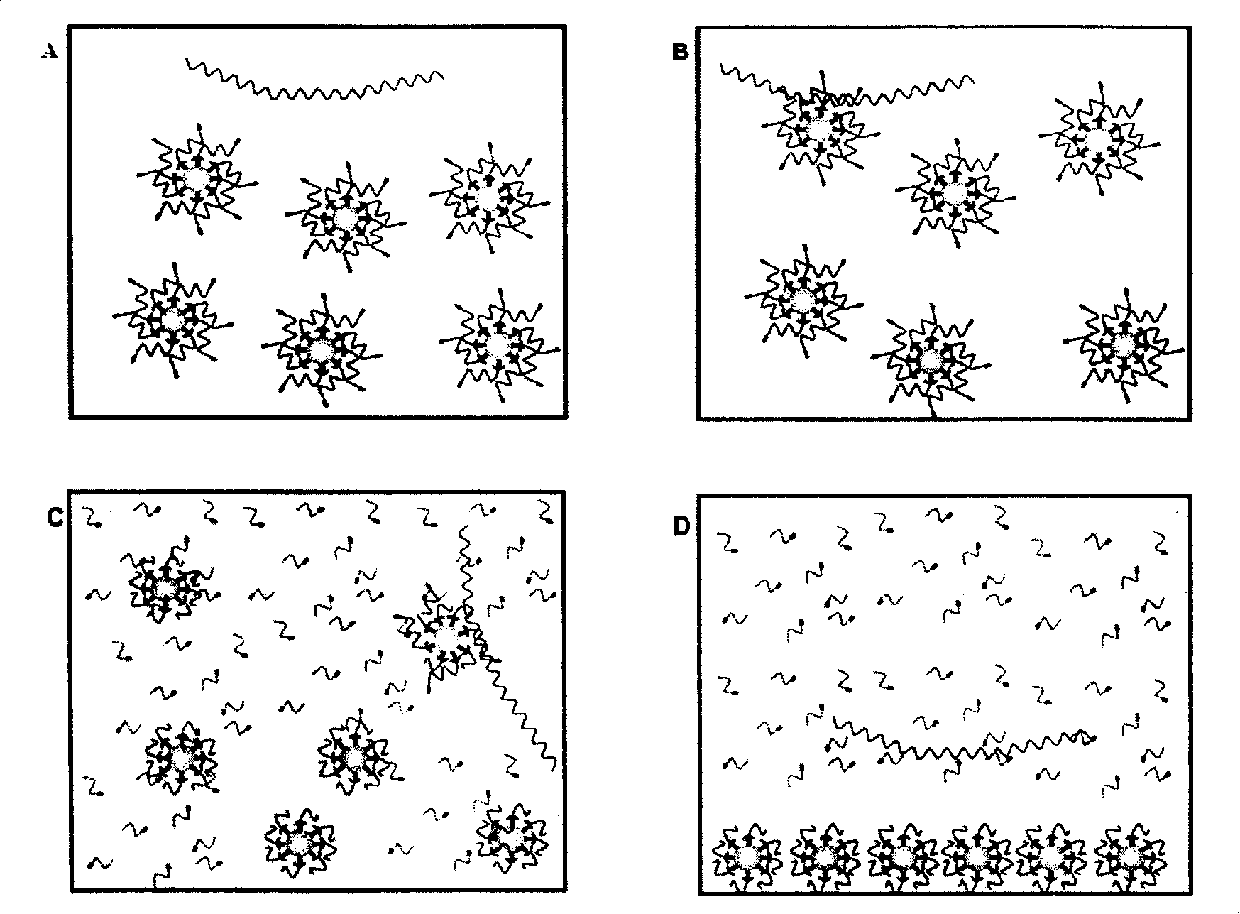 Detection probe and detection method for nucleic acid aim sequence