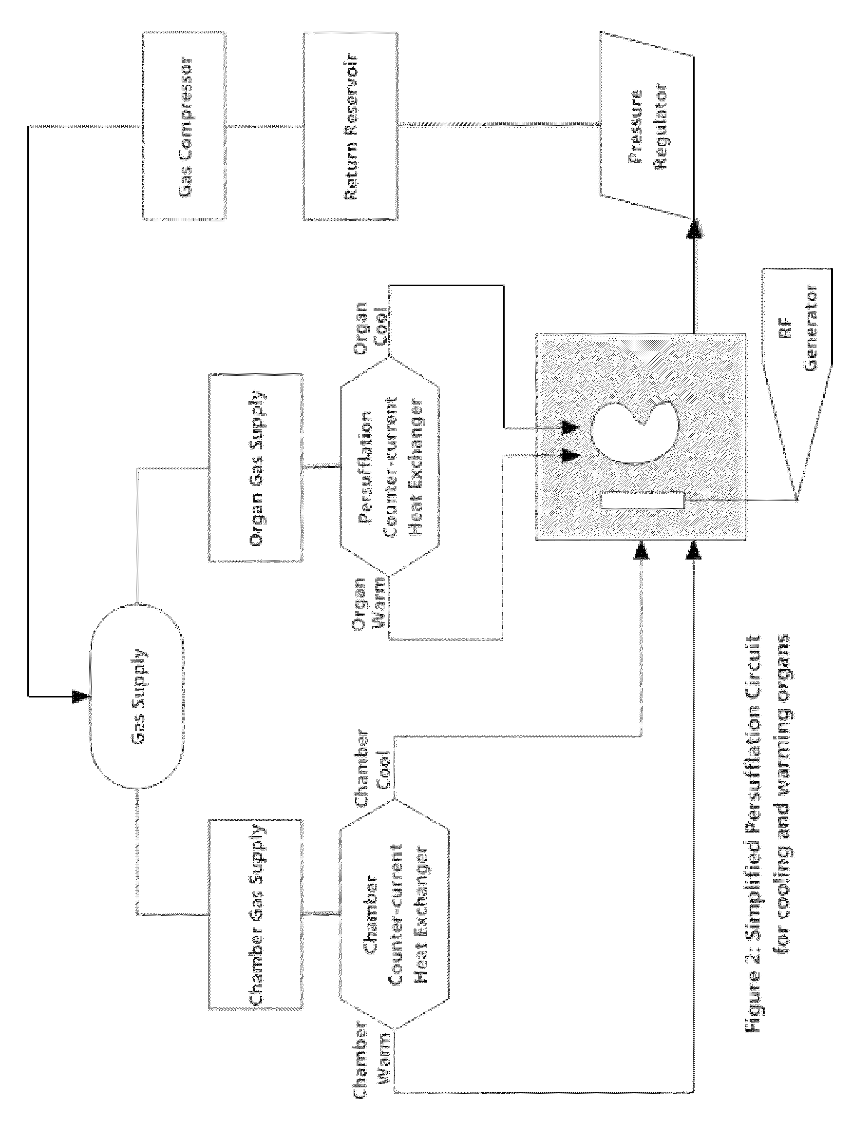 Method and apparatus for prevention of thermo-mechanical fracturing in vitrified tissue using rapid cooling and warming by persufflation