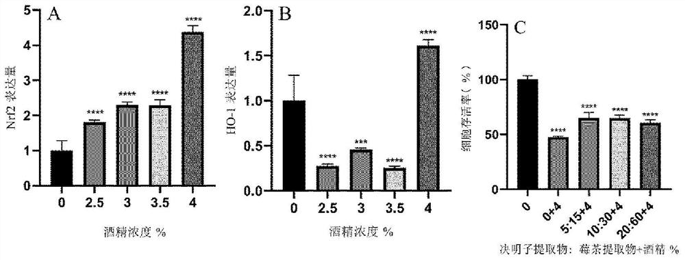 Preparation process of raspberry tea and semen cassiae solid beverage and application of raspberry tea and semen cassiae solid beverage in liver protection